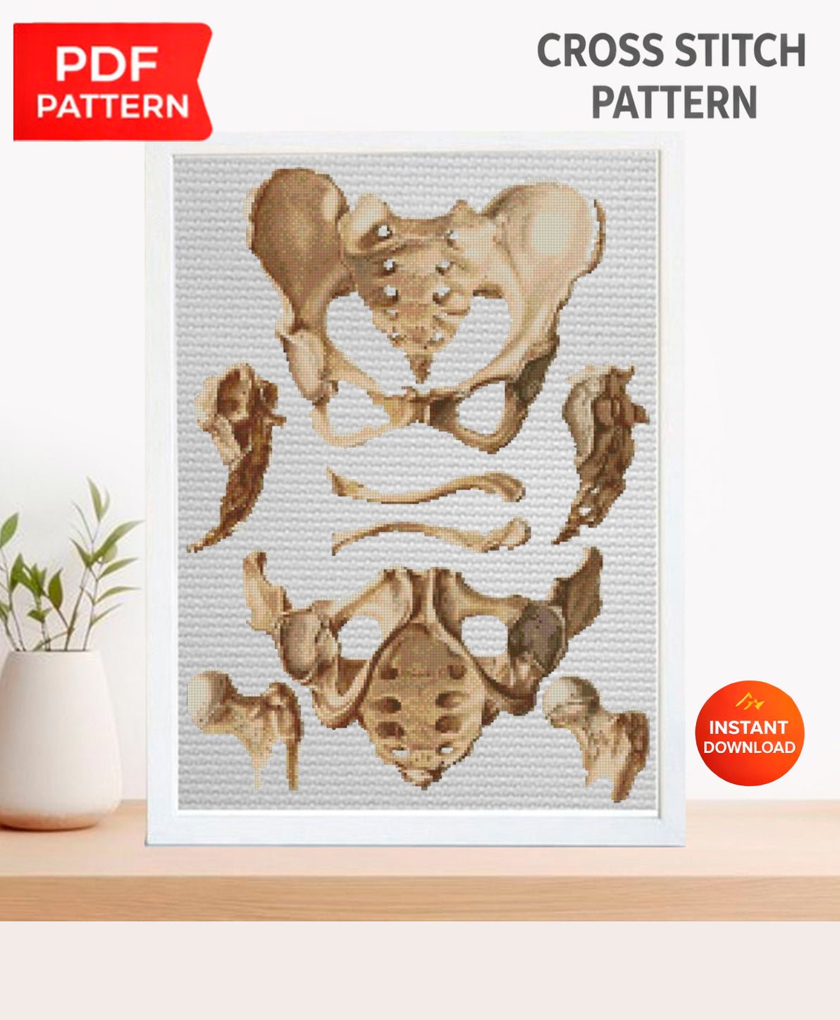 Human anatomy - NuttyHappyHobby
