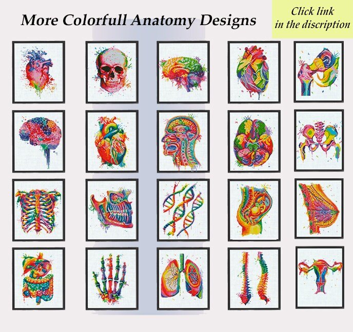 100+ Medical Anatomy Cross Stitch Patterns Bundle PDF | Lifetime Mega Pack | Skeleton Skull Spine Heart Brain | Instant Download Charts - NuttyHappyHobby