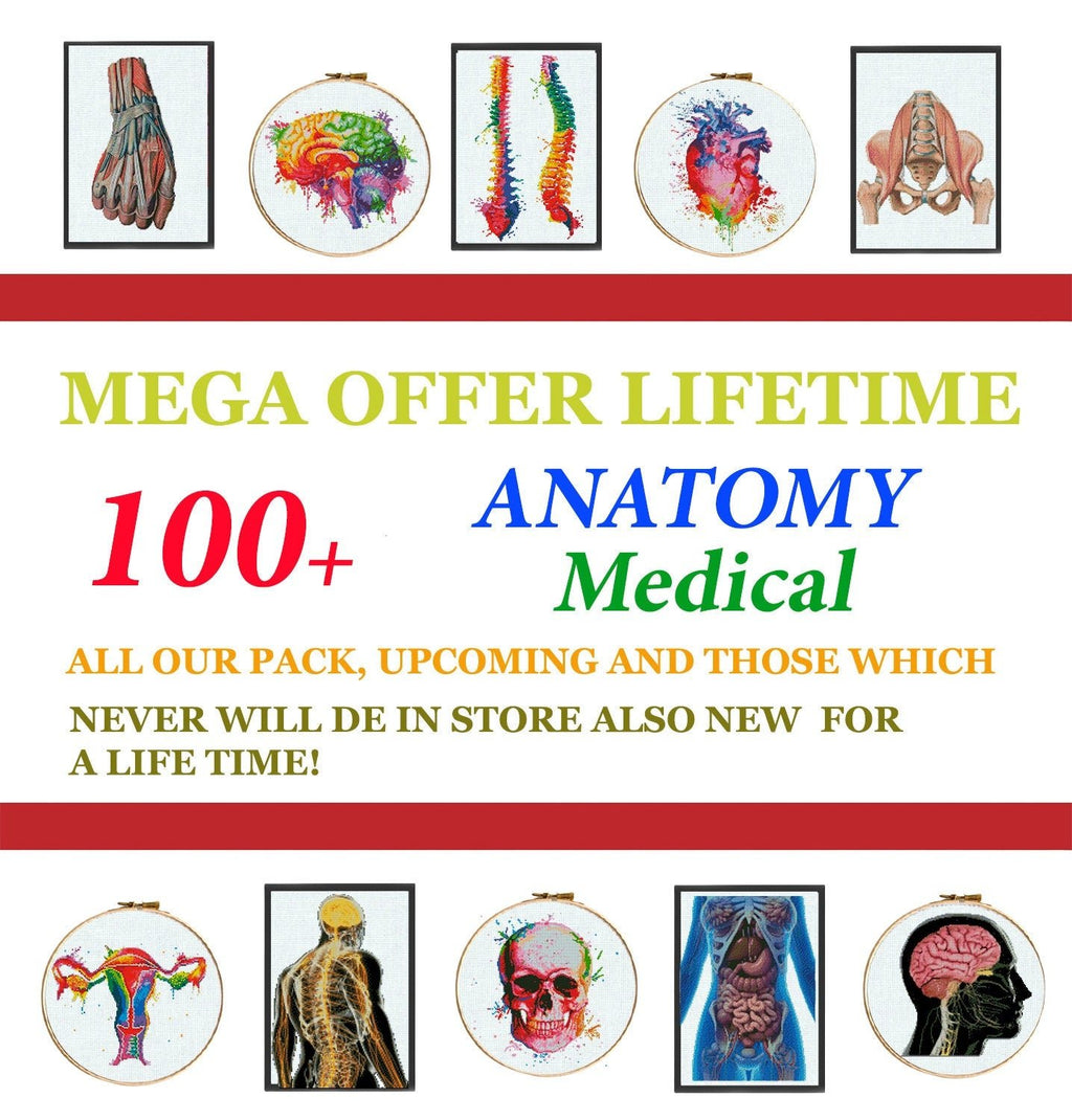 100+ Medical Anatomy Cross Stitch Patterns Bundle PDF | Lifetime Mega Pack | Skeleton Skull Spine Heart Brain | Instant Download Charts - NuttyHappyHobby
