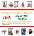 100+ Medical Anatomy Cross Stitch Patterns Bundle PDF | Lifetime Mega Pack | Skeleton Skull Spine Heart Brain | Instant Download Charts - NuttyHappyHobby