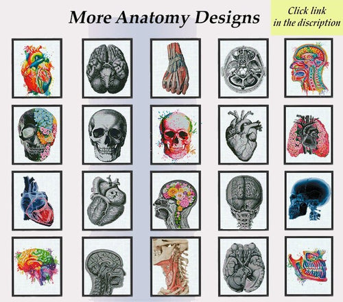 100+ Medical Anatomy Cross Stitch Patterns Bundle PDF | Lifetime Mega Pack | Skeleton Skull Spine Heart Brain | Instant Download Charts - NuttyHappyHobby
