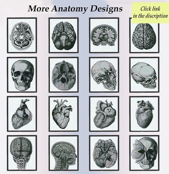 100+ Medical Anatomy Cross Stitch Patterns Bundle PDF | Lifetime Mega Pack | Skeleton Skull Spine Heart Brain | Instant Download Charts - NuttyHappyHobby