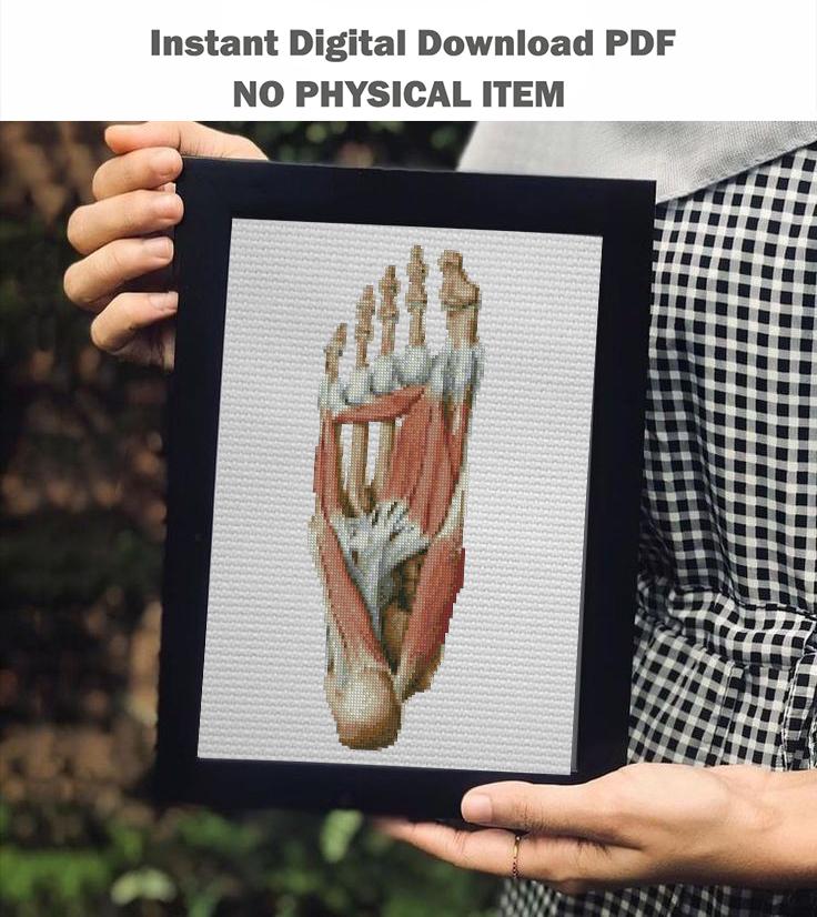 Anatomical Foot Cross Stitch Pattern PDF, Human Foot Muscles Embroidery Chart, Medical Anatomy Art, Gothic Needlepoint Design, Instant - NuttyHappyHobby