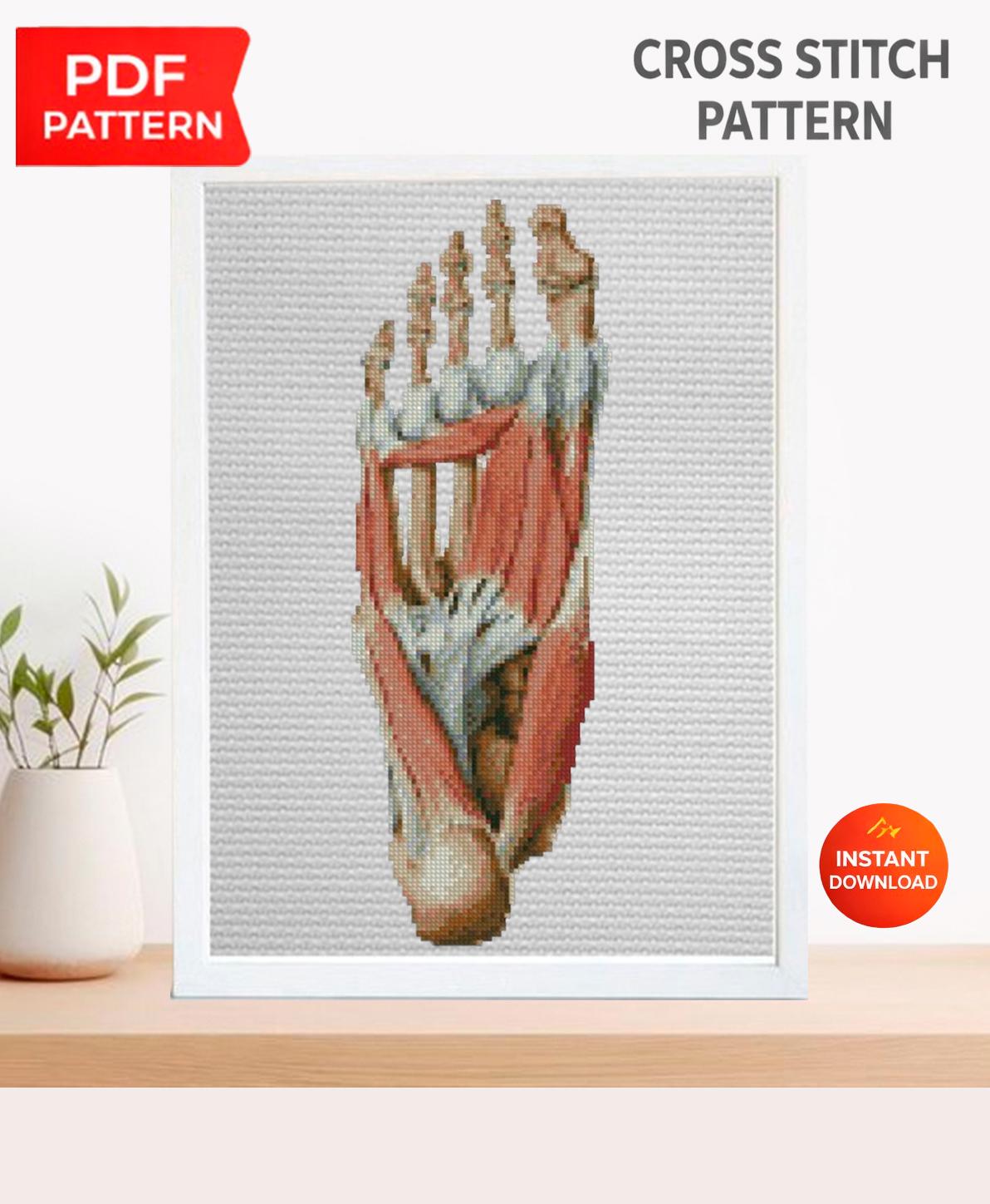 Anatomical Foot Cross Stitch Pattern PDF, Human Foot Muscles Embroidery Chart, Medical Anatomy Art, Gothic Needlepoint Design, Instant - NuttyHappyHobby