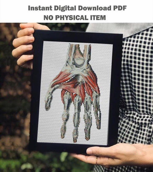 Anatomical Hand Cross Stitch Pattern PDF, Human Palm Muscles and Bones Embroidery Chart, Vintage Medical Illustration Art, Doctor Gift - NuttyHappyHobby