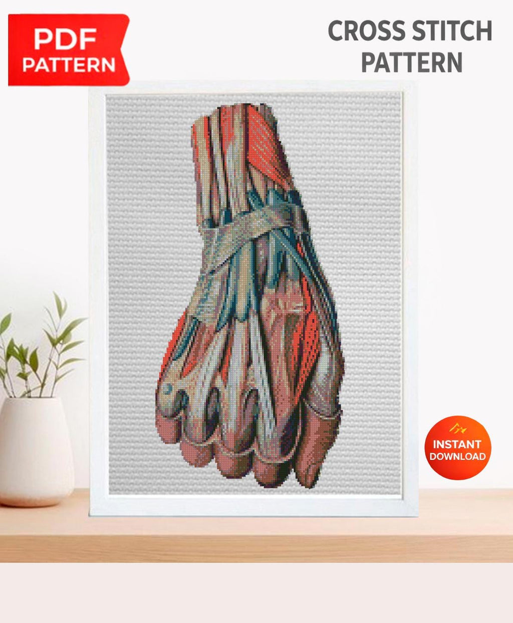 Anatomical Hand Muscles Cross Stitch Pattern PDF, Vintage Medical Illustration Embroidery Chart, Human Arm Anatomy Art, Doctor Gift,Download - NuttyHappyHobby