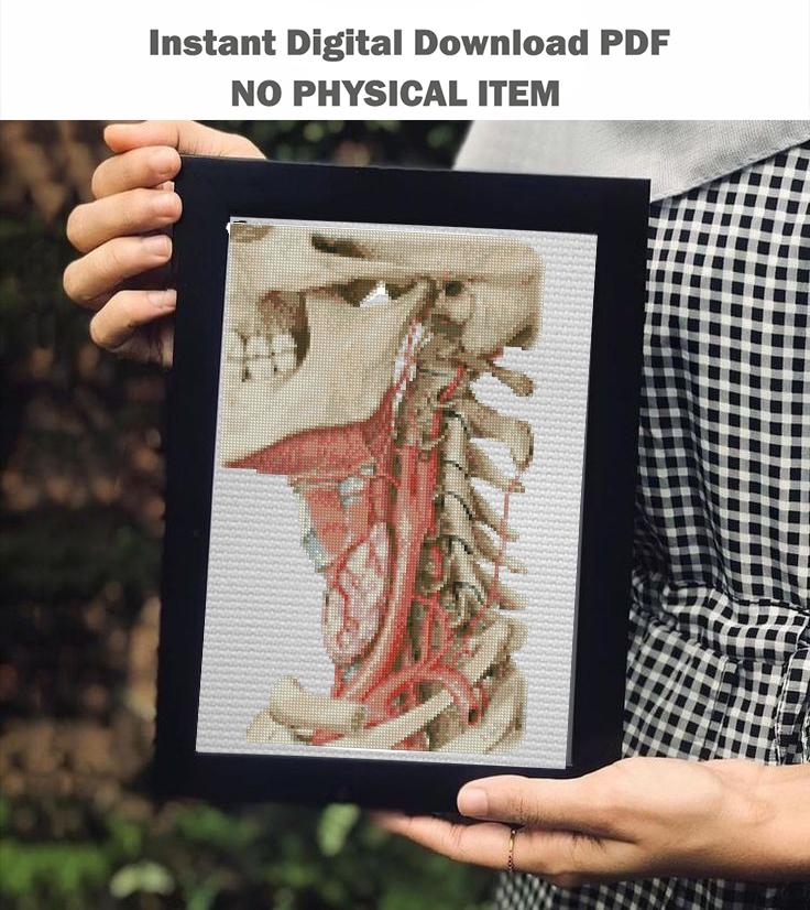 Anatomical Skull Cross Stitch Pattern PDF, Human Neck Anatomy Embroidery Chart, Gothic Medical Art, Vintage Anatomy Needlepoint, Instant - NuttyHappyHobby