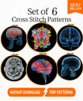 Anatomy Cross Stitch Pattern Bundle PDF, Brain Anatomy Embroidery Set, Gothic X Ray Medical Cross Stitch, Skull Neuroscience Art - NuttyHappyHobby
