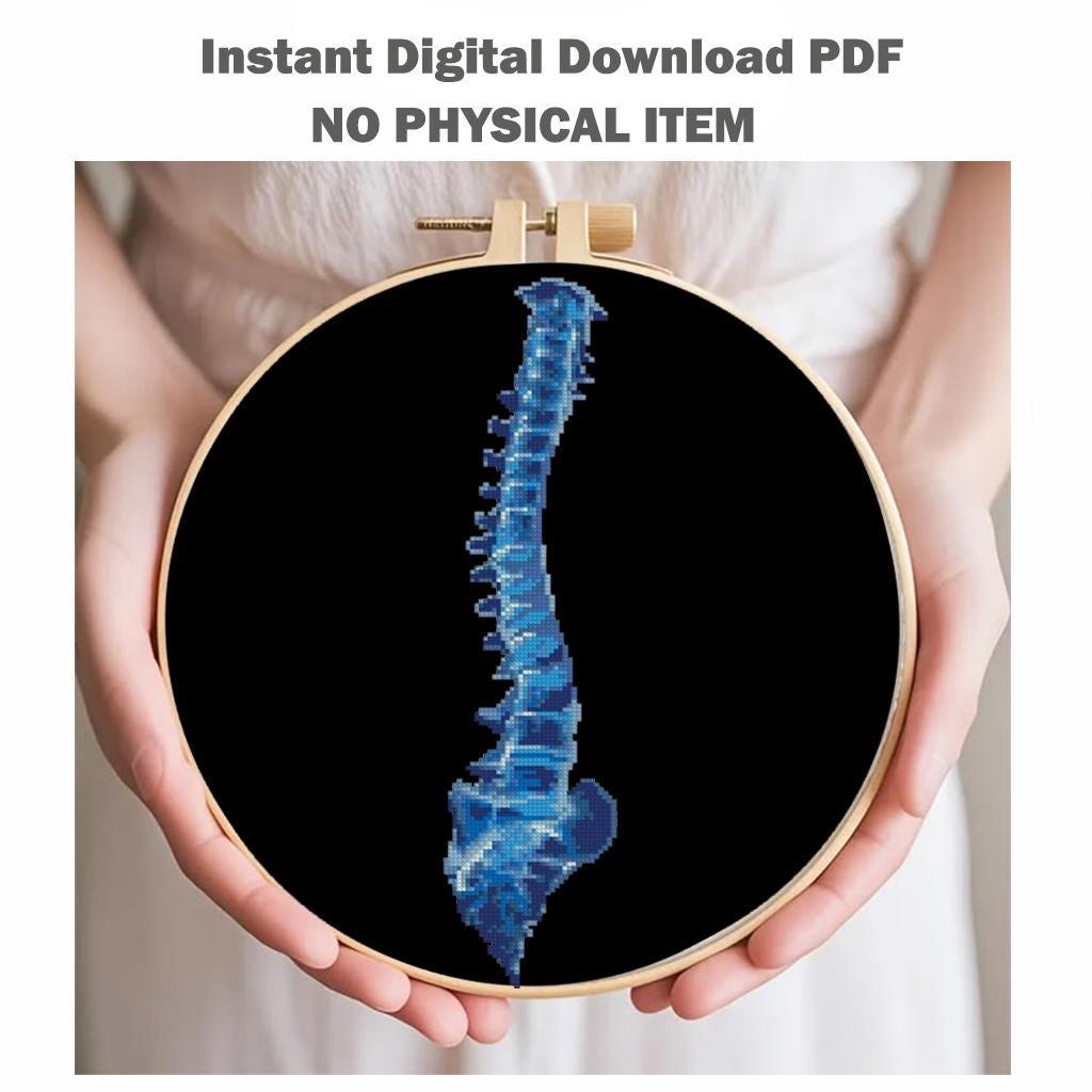 Anatomy Cross Stitch Pattern Bundle PDF, X Ray Embroidery Set of 6, Gothic Medical Anatomy Decor, Brain Skull Spine Heart Lungs Rib Cage - NuttyHappyHobby