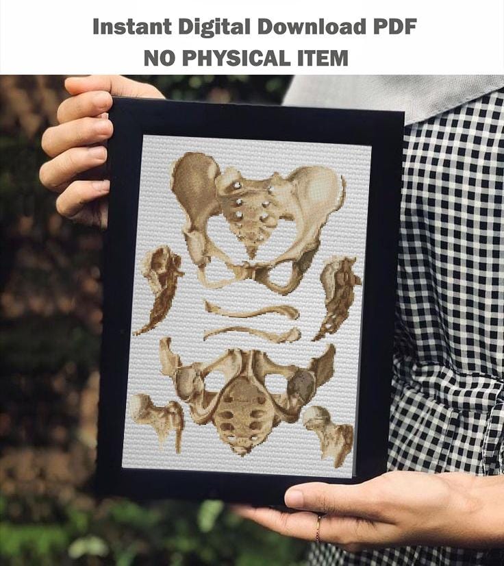 Anatomy Cross Stitch Patterns PDF Bundle, Vintage Medical Embroidery Set, Gothic Skeleton Counted Cross Stitch Charts, Embroidery Medical - NuttyHappyHobby