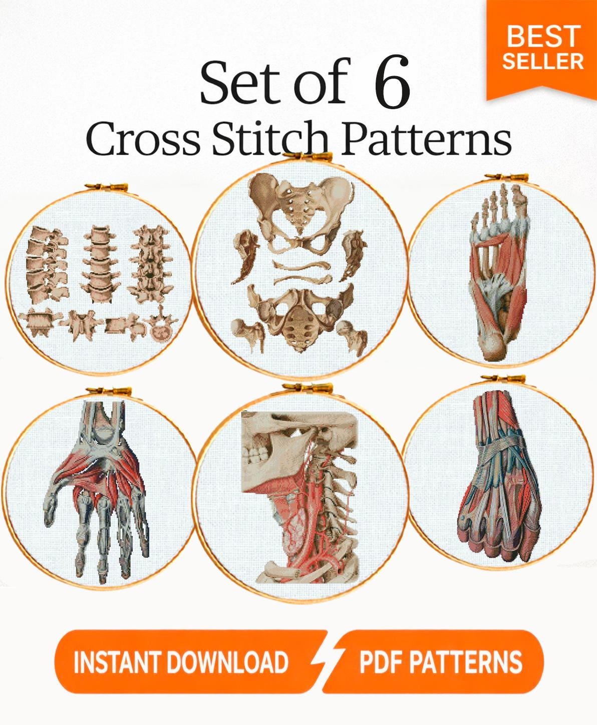 Anatomy Cross Stitch Patterns PDF Bundle, Vintage Medical Embroidery Set, Gothic Skeleton Counted Cross Stitch Charts, Embroidery Medical - NuttyHappyHobby