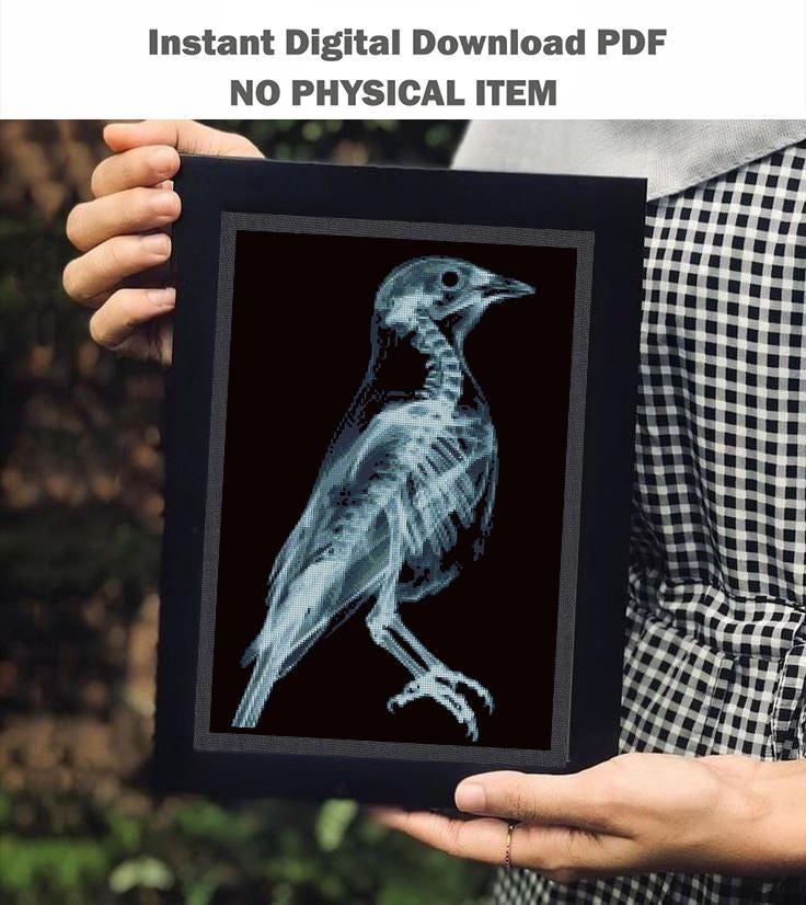 Bird Anatomy Cross Stitch Pattern PDF, Raven Skeleton Embroidery Chart, X - Ray Bird Art, Gothic Cross Stitch, Dark Academia Decor, Download - NuttyHappyHobby