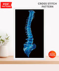 Blue Spine Cross Stitch Pattern PDF, Human Spine Anatomy Embroidery, Medical Cross Stitch, Gothic Anatomy Art, Xray Skeleton Stitch Download - NuttyHappyHobby