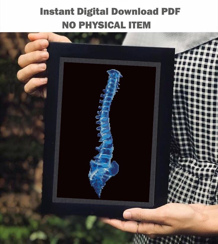 Blue Spine Cross Stitch Pattern PDF, Human Spine Anatomy Embroidery, Medical Cross Stitch, Gothic Anatomy Art, Xray Skeleton Stitch Download - NuttyHappyHobby