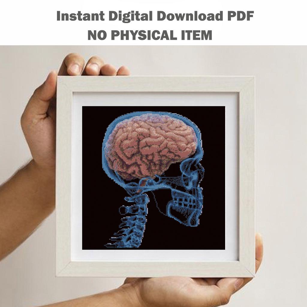 Brain X Ray Cross Stitch Pattern PDF, Human Skull Anatomy Embroidery Design, Neuroscience Medical Wall Art Download, Pattern Keeper - NuttyHappyHobby