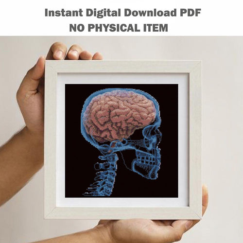 Brain X Ray Cross Stitch Pattern PDF, Human Skull Anatomy Embroidery Design, Neuroscience Medical Wall Art Download, Pattern Keeper - NuttyHappyHobby