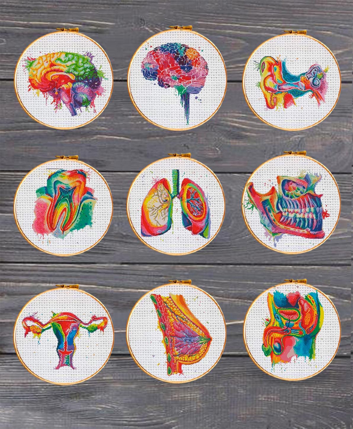Colorful Anatomy Cross Stitch Patterns Bundle PDF | 34 Designs Lifetime Pack | Skeleton Skull Heart Brain Art | Instant Download Charts - NuttyHappyHobby