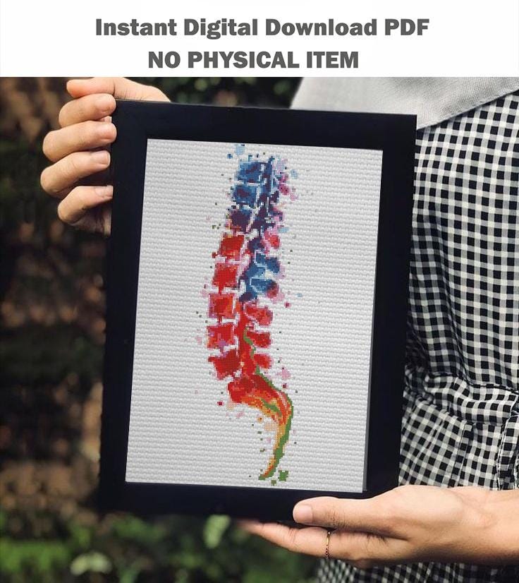 Colorful Spine Cross Stitch Pattern PDF, Anatomical Vertebrae Embroidery Chart, Human Back Anatomy Art, Medical Illustration Decor, Download - NuttyHappyHobby