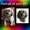 Custom Pet Portrait Cross Stitch Pattern From Photo, Personalized Dog Embroidery Pattern PDF, Pet Photo To Cross Stitch Design, cat portrait - NuttyHappyHobby