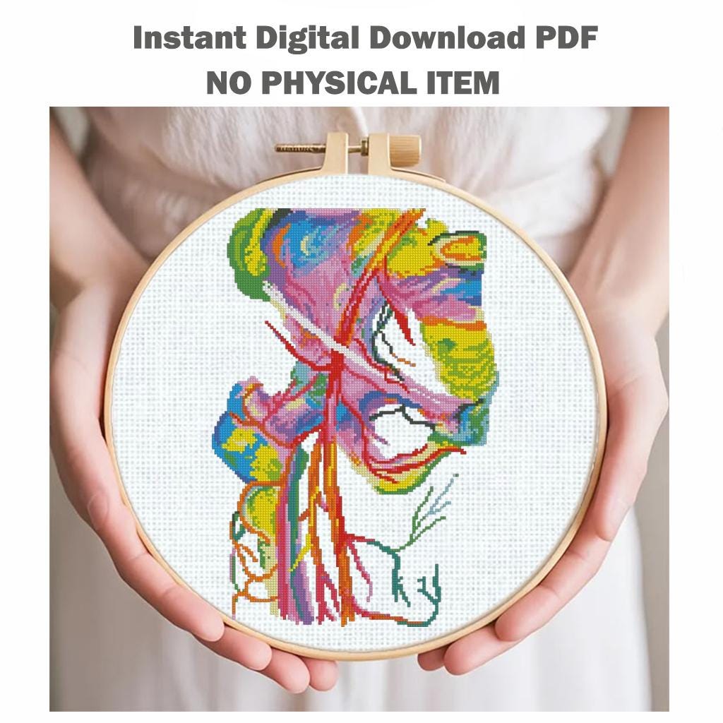 Femoral Artery Cross Stitch Pattern PDF, Human Anatomy Embroidery Pattern, Medical Cross Stitch, Instant Download, Biology Art, DMC Chart - NuttyHappyHobby