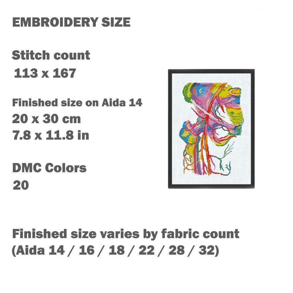 Femoral Artery Cross Stitch Pattern PDF, Human Anatomy Embroidery Pattern, Medical Cross Stitch, Instant Download, Biology Art, DMC Chart - NuttyHappyHobby