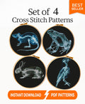 Forest Animal X Ray Cross Stitch Pattern Set PDF, Bird Frog Rabbit Rat Skeleton Anatomy Embroidery Design, Wildlife Science Wall Art Bundle - NuttyHappyHobby
