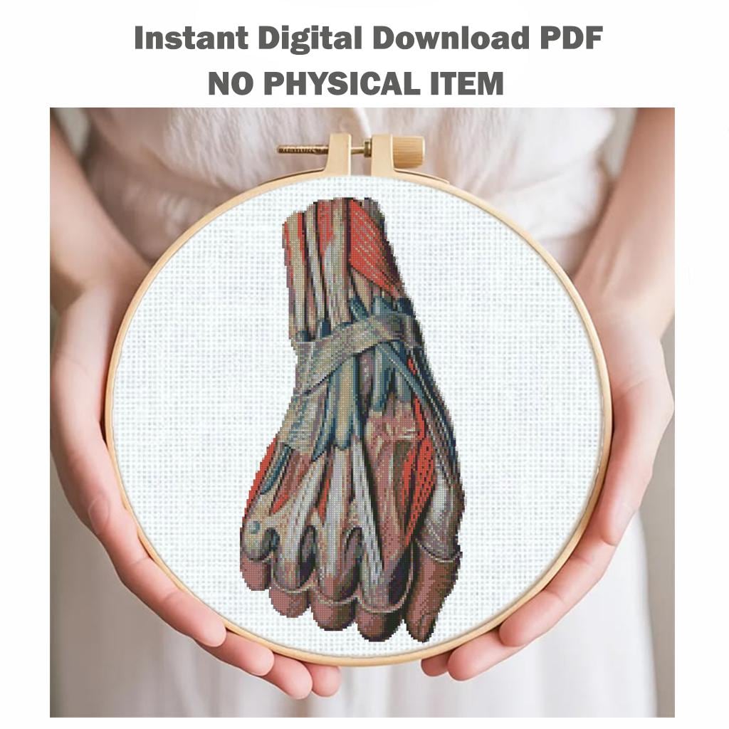 Hand Muscle Anatomy Cross Stitch Pattern PDF, Human Arm Muscular System Embroidery Design, Medical Student Wall Art Instant Download - NuttyHappyHobby