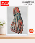 Hand Muscle Anatomy Cross Stitch Pattern PDF, Human Arm Muscular System Embroidery Design, Medical Student Wall Art Instant Download - NuttyHappyHobby