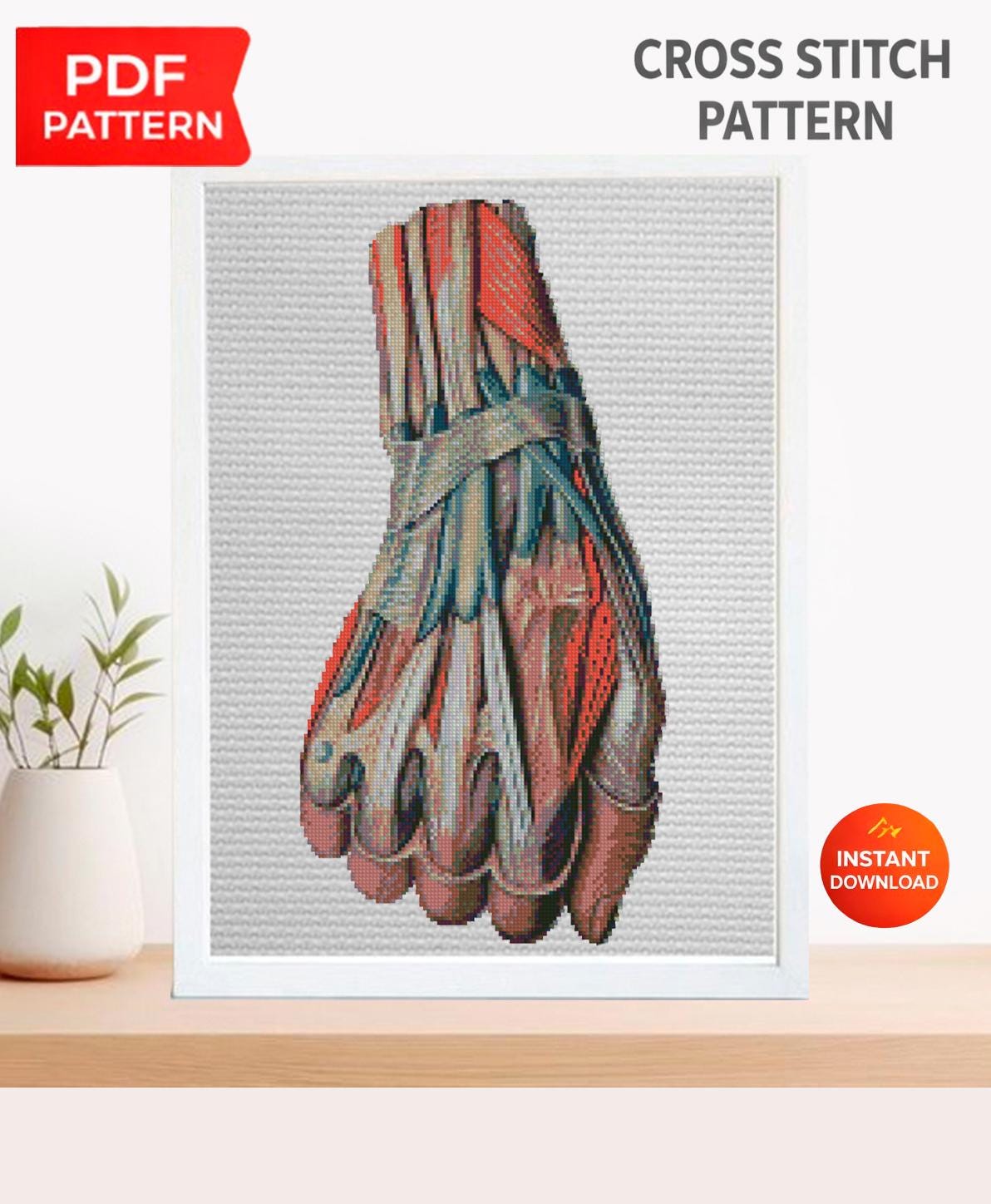 Hand Muscle Anatomy Cross Stitch Pattern PDF, Human Arm Muscular System Embroidery Design, Medical Student Wall Art Instant Download - NuttyHappyHobby