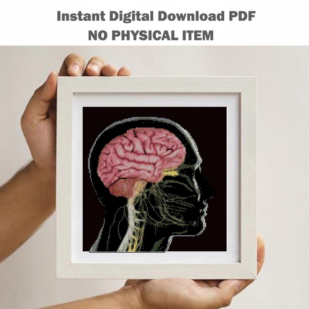 Human Brain Anatomy Cross Stitch Pattern PDF, Neuroanatomy Embroidery Chart, Medical Illustration Needlepoint, Neuroscience Art, Download - NuttyHappyHobby