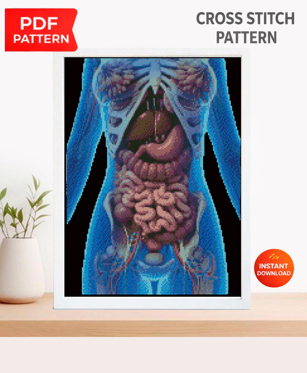 Human Internal Organs Cross Stitch Pattern PDF, Anatomical Torso Anatomy Embroidery Design, Medical Student Wall Art Instant Download - NuttyHappyHobby