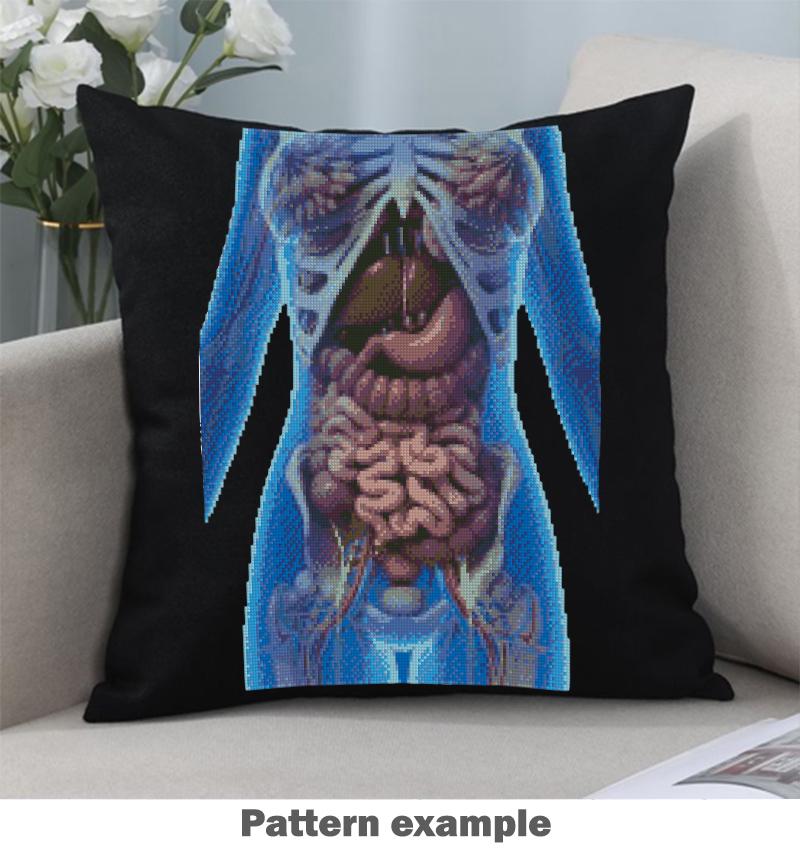 Human Internal Organs Cross Stitch Pattern PDF, Anatomical Torso Anatomy Embroidery Design, Medical Student Wall Art Instant Download - NuttyHappyHobby