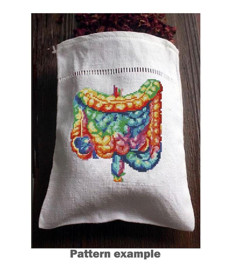 Intestine Cross Stitch Pattern PDF Anatomy Embroidery Design Human Organ Gut Medical Mini Small Modern Instant Download, Pattern Keeper - NuttyHappyHobby