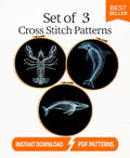 Marine Animal X Ray Cross Stitch Pattern Set PDF, Lobster Dolphin Whale Skeleton Anatomy Embroidery Design, Ocean Science Wall Art Bundle - NuttyHappyHobby
