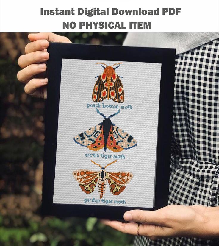 Moth Cross Stitch Pattern PDF Insect Embroidery Vintage Scientific Illustration Nature Wall Art Modern Decor Instant Download - NuttyHappyHobby