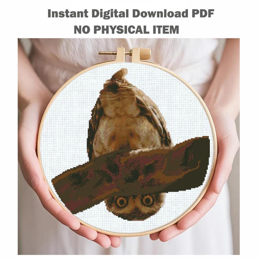 Owl Cross Stitch Pattern Set of 2 PDF Bird Embroidery Cute Owls Animal Pattern Woodland Modern Instant Download Gift - NuttyHappyHobby