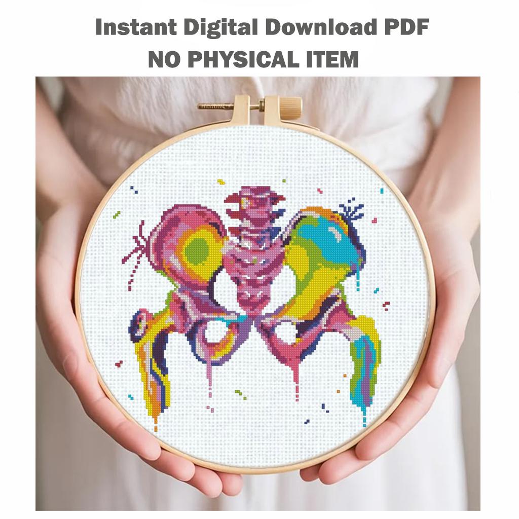 Pelvic Bones Cross Stitch Pattern PDF, Colorful Pelvis Anatomy Embroidery Chart, Modern Medical Illustration Art, Orthopedic Needlepoint - NuttyHappyHobby