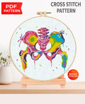 Pelvic Bones Cross Stitch Pattern PDF, Colorful Pelvis Anatomy Embroidery Chart, Modern Medical Illustration Art, Orthopedic Needlepoint - NuttyHappyHobby