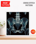 Pelvis X Ray Cross Stitch Pattern PDF, Human Hip Bone Anatomy Embroidery Design, Medical Skeleton Wall Art Download, Pattern Keeper - NuttyHappyHobby