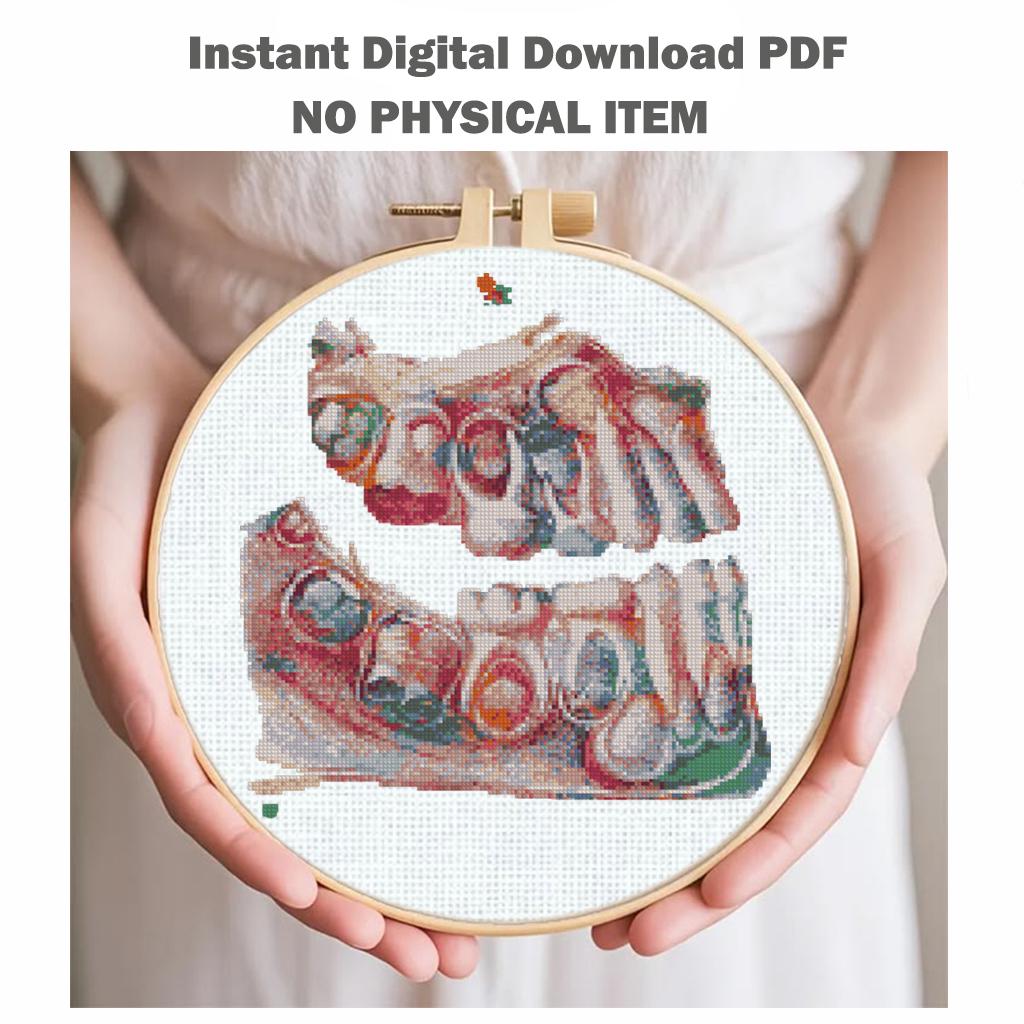 Teeth Anatomy Cross Stitch Pattern PDF, Dental Embroidery Chart, Human Jaw Medical Art, Dentist Gift, Gothic Anatomy Needlepoint, Download - NuttyHappyHobby