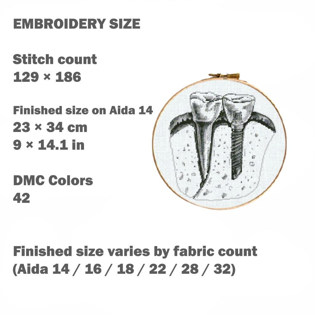 Teeth Anatomy Cross Stitch Pattern PDF, Dental X Ray Tooth Embroidery Design, Medical Dentist Wall Art Instant Download, Pattern Keeper - NuttyHappyHobby