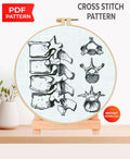 Vertebrae Anatomy Cross Stitch Pattern PDF, Spine Bone Embroidery Design, Vintage Medical Illustration Wall Art Download - NuttyHappyHobby