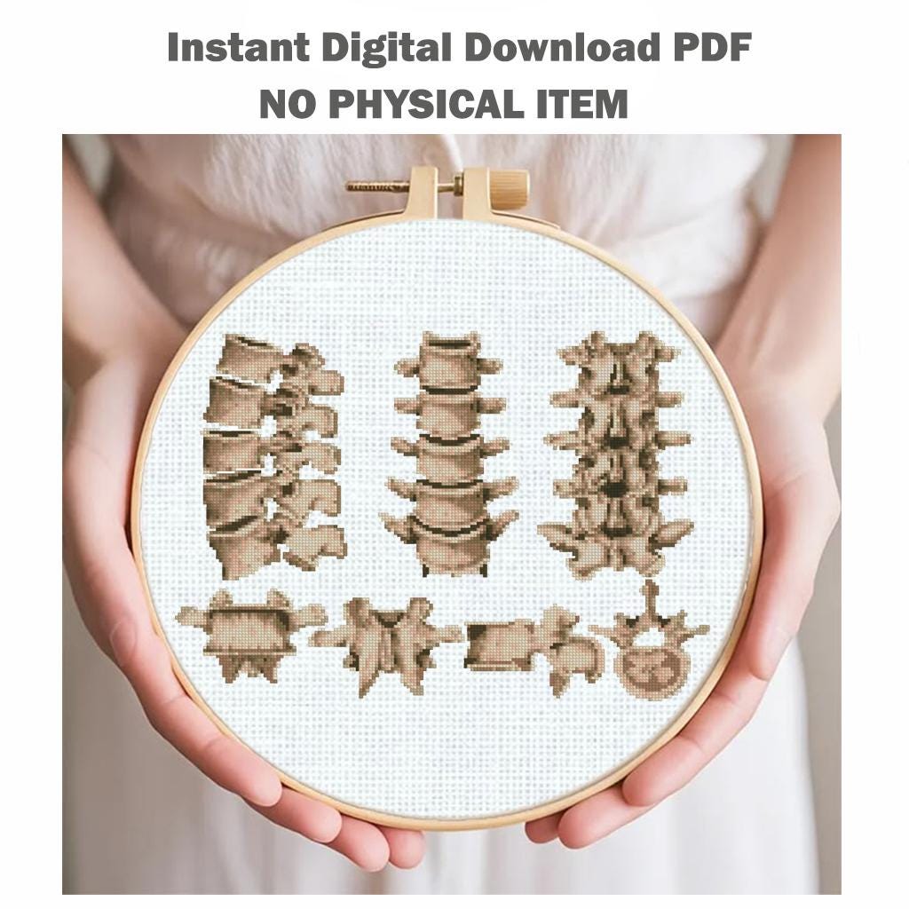 Vertebrae Anatomy Cross Stitch Pattern PDF, Vintage Spine Illustration Embroidery Chart, Human Vertebral Column Medical Art, Doctor Gift - NuttyHappyHobby