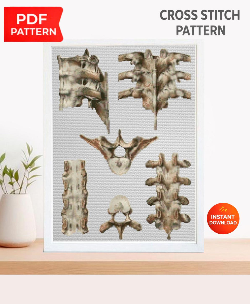 Vintage Vertebrae Cross Stitch Pattern PDF, Human Spine Anatomy Embroidery Chart, Antique Medical Illustration Art, Orthopedic Gift, Instant - NuttyHappyHobby