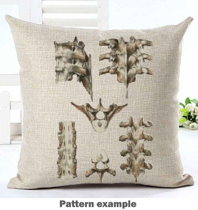 Vintage Vertebrae Cross Stitch Pattern PDF, Human Spine Anatomy Embroidery Chart, Antique Medical Illustration Art, Orthopedic Gift, Instant - NuttyHappyHobby