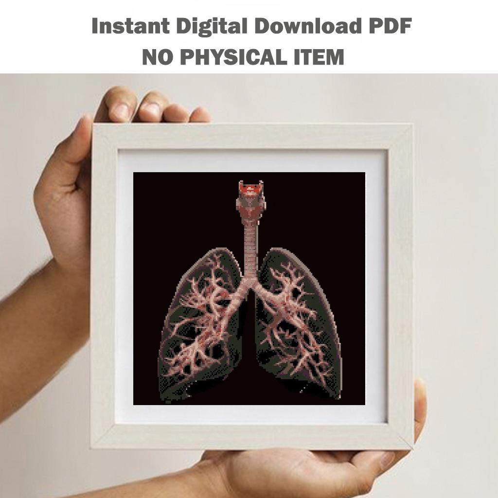 X - Ray Brain and Lungs Cross Stitch Pattern Bundle PDF, Anatomical Embroidery Charts, Radiology Style Medical Art Set, Instant Download - NuttyHappyHobby