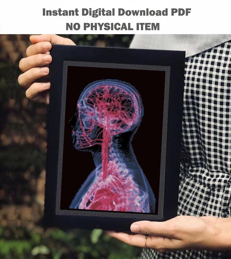X - Ray Brain Cross Stitch Pattern PDF, Anatomical Human Head Embroidery Chart, Medical Radiology Art, Gothic Anatomy Decor, Instant Download - NuttyHappyHobby