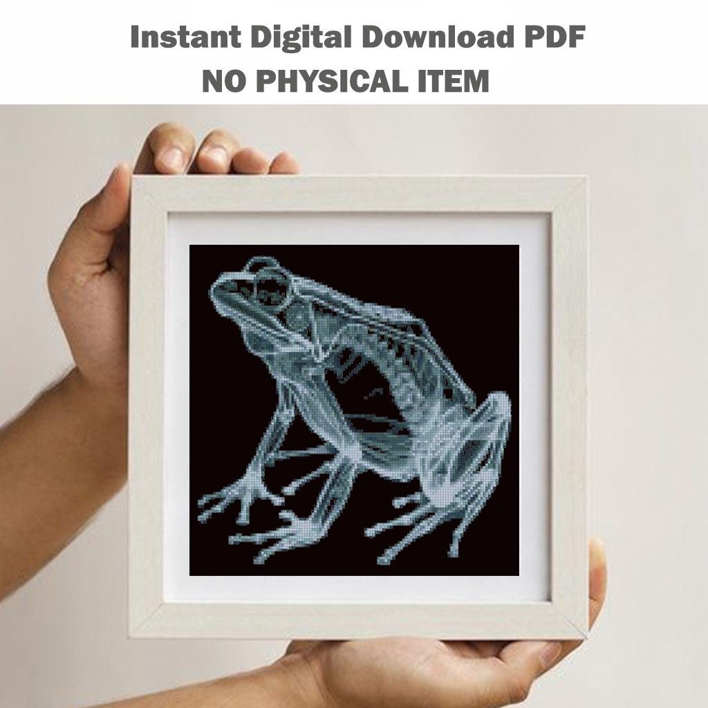 X - Ray Frog Cross Stitch Pattern Pdf, Anatomical Frog Embroidery Chart, Toad Skeleton Pattern, Modern Blackwork Hoop Art, Instant Download - NuttyHappyHobby