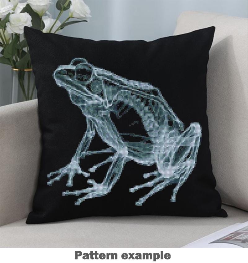 X - Ray Frog Cross Stitch Pattern Pdf, Anatomical Frog Embroidery Chart, Toad Skeleton Pattern, Modern Blackwork Hoop Art, Instant Download - NuttyHappyHobby