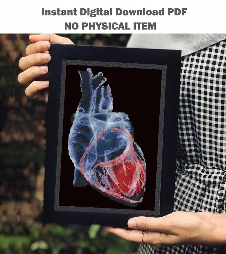 X - Ray Heart Cross Stitch Pattern PDF, Anatomical Heart Embroidery Chart, Radiology Style Medical Art, Gothic Anatomy Decor, Instant Download - NuttyHappyHobby